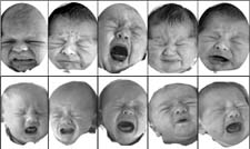 bebes.jpg