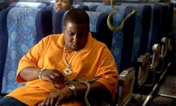 snakes_on_a_plane.jpg