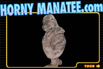 horny_manatee.com.jpg