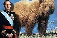 oso_mitrofan.jpg