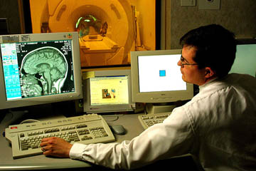 estudo_cerebro.jpg