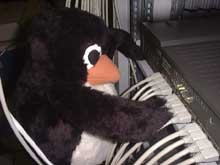 linux-2.jpg