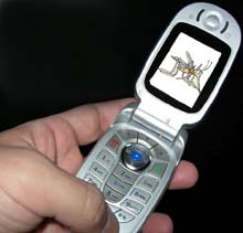 telefono-movil-mosquito-NP.jpg