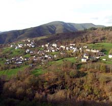 courel-2.jpg