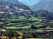 galicia_rural.jpg