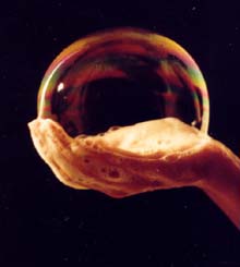 burbulla-2.jpg
