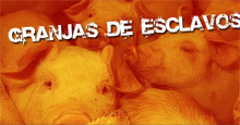 granxasdeesclavos.jpg