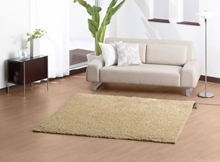 panasonic_electric_carpet.jpg