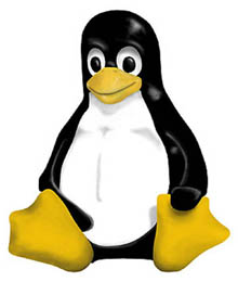 pinguin.jpg