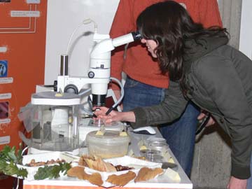 areeiro_mostra.jpg