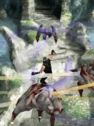 ninja_gaiden_ds.jpg