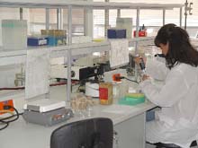investigacion.jpg