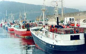 celeiro_porto.jpg