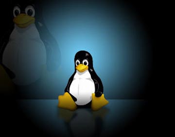 linux-6.jpg