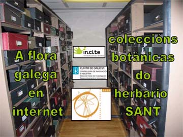 usc_herbario_web.jpg