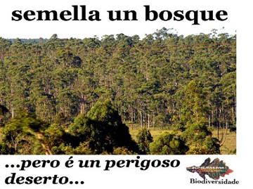 _wsb_485x363_ZZ172D113C.jpg