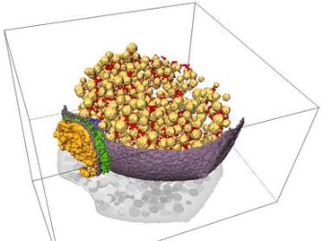conexions_neuronais_3d.jpg