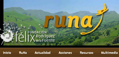 runa_nova_web.jpg