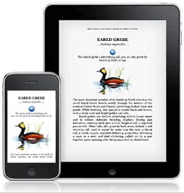 kindle_audio_e_video.jpg